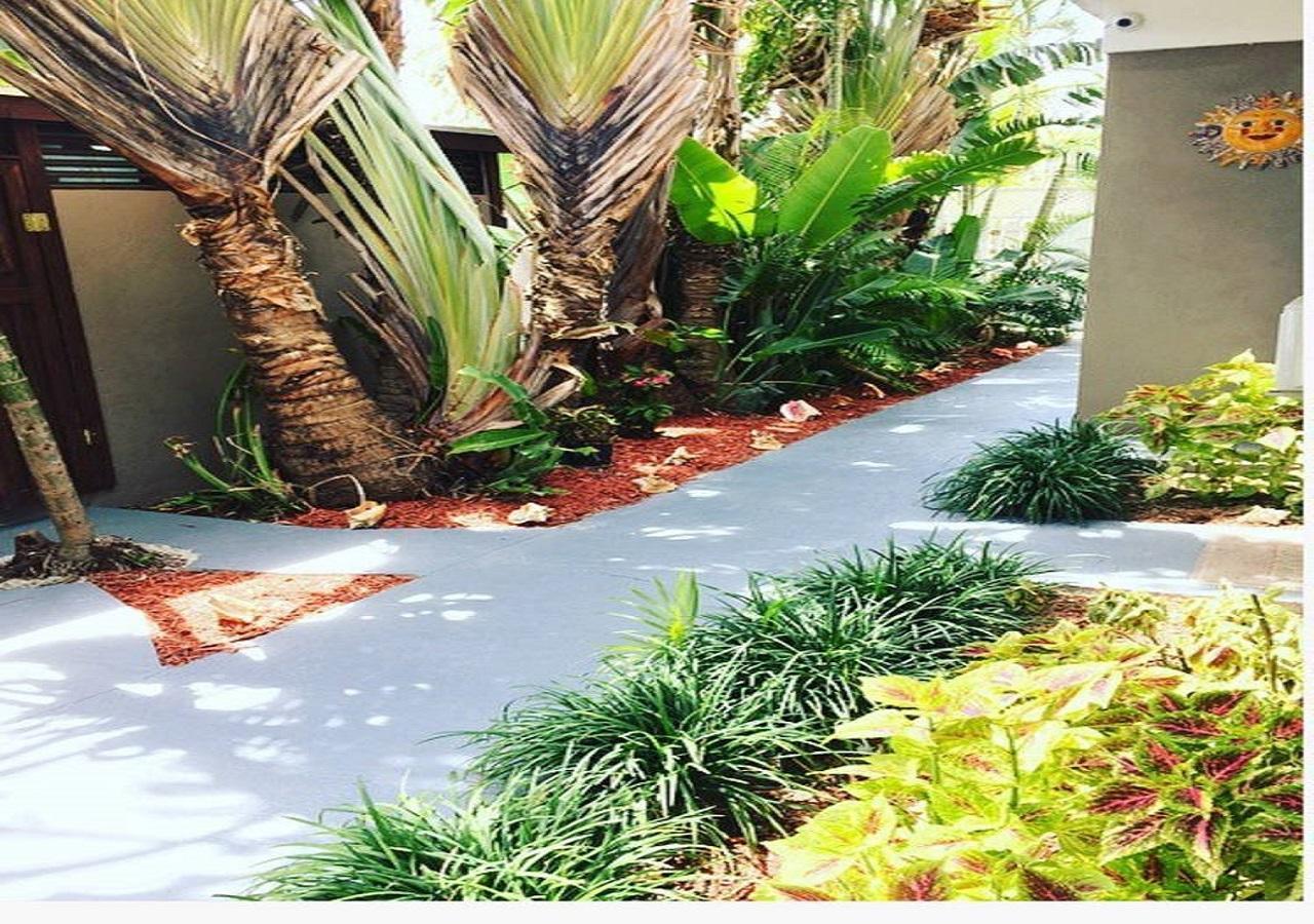 拿骚The Oasis Retreat公寓 外观 照片